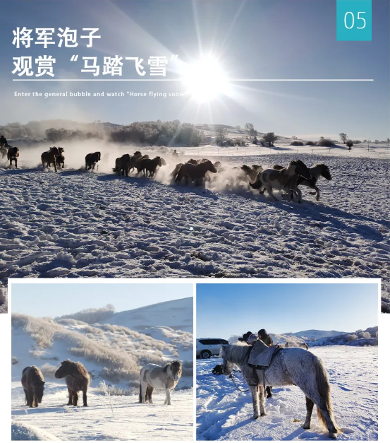 /uploads/image/2025/11/15/b109e1f4d02a82a7d675c39804cd63b3.png image.png