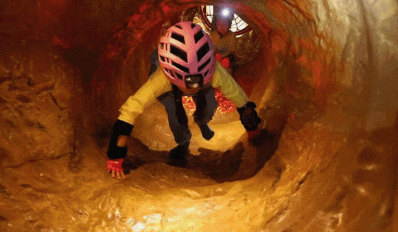 西安亲子年票 西安亲子年票