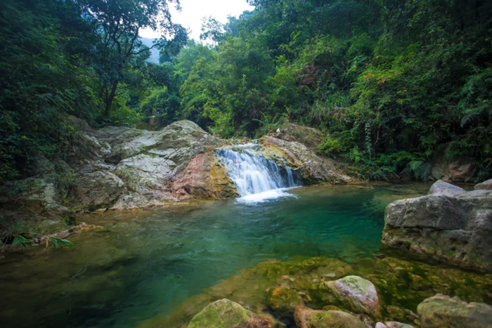 南海湾森林生态园