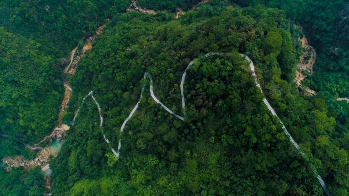 南海湾森林生态园