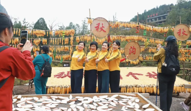 南太行年卡 南太行年卡