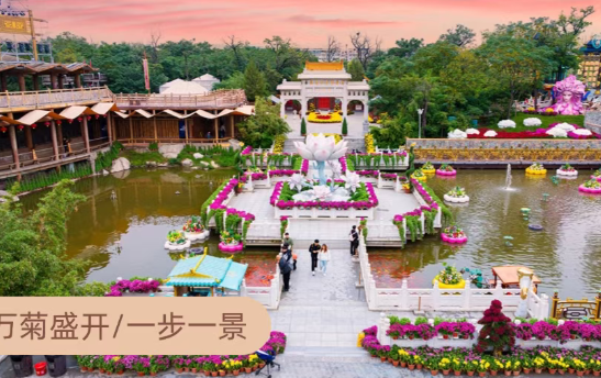 /uploads/image/2025/11/17/0fba6a9d36fa934ef5487745d769a4be.png /uploads/image/2025/11/17/0fba6a9d36fa934ef5487745d769a4be.png