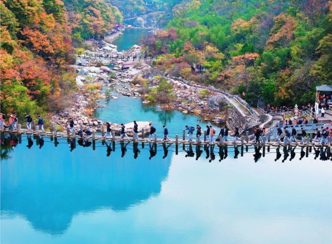 南太行年卡 南太行年卡