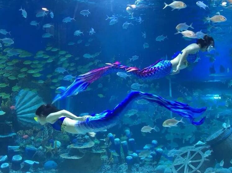 顺德南宏海立方海洋公园