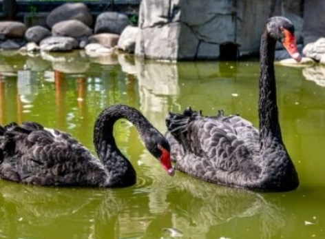 /uploads/image/2025/11/18/a642bcde1164dba1eb8faa21b6b03db1.png /uploads/image/2025/11/18/a642bcde1164dba1eb8faa21b6b03db1.png