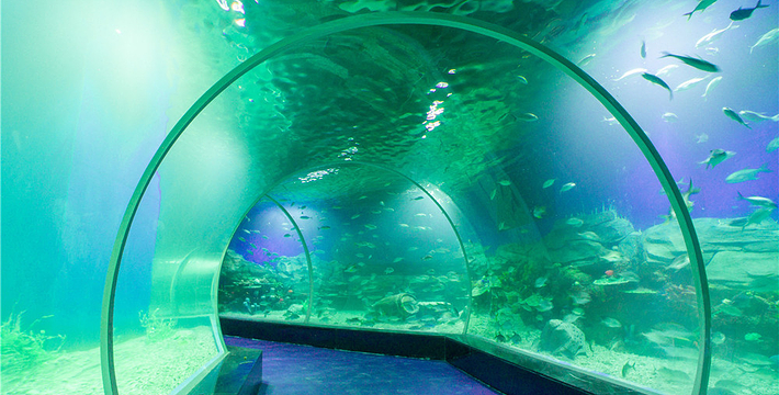 顺德南宏海立方海洋公园