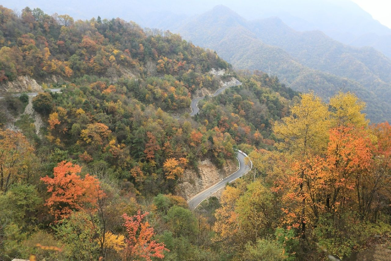 紫柏山国家森林公园