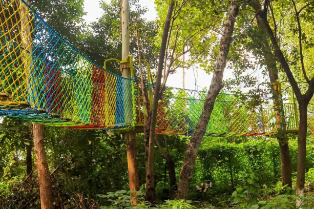 /uploads/image/2025/11/20/a5abe7629a4b850cee755251c05d4462.png /uploads/image/2025/11/20/a5abe7629a4b850cee755251c05d4462.png