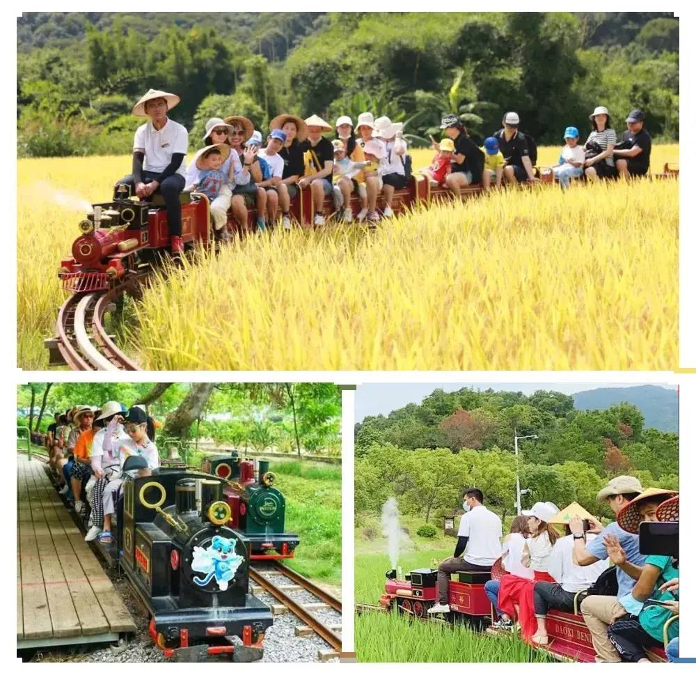 /uploads/image/2025/11/20/a249ab9c6de816d2f904661a21af6833.png /uploads/image/2025/11/20/a249ab9c6de816d2f904661a21af6833.png