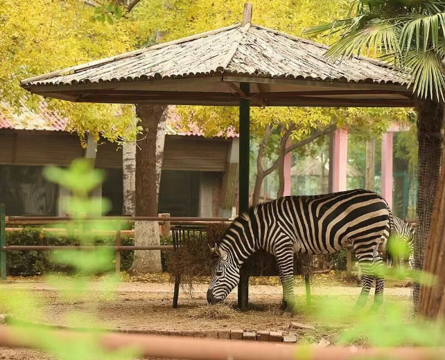 郑州市动物园