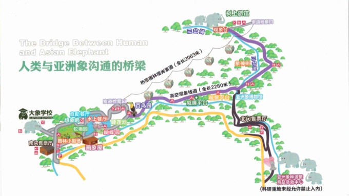 西双版纳野象谷