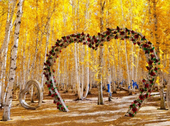 /uploads/image/2025/11/21/356e6fd2e544809477ce92863763f224.png /uploads/image/2025/11/21/356e6fd2e544809477ce92863763f224.png