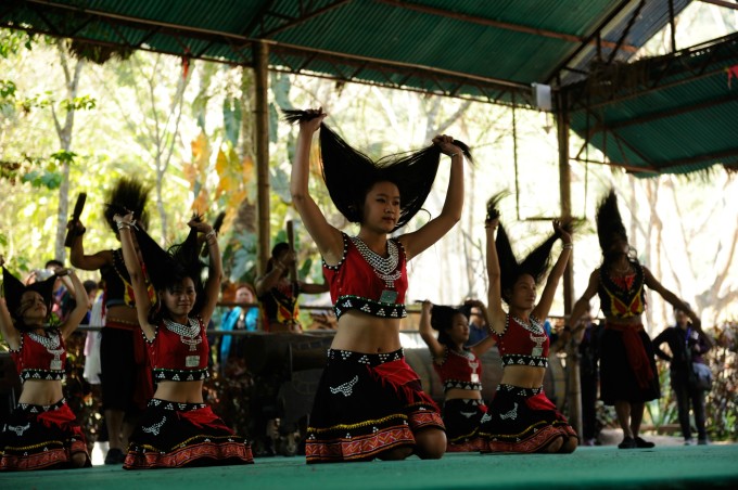 西双版纳野象谷