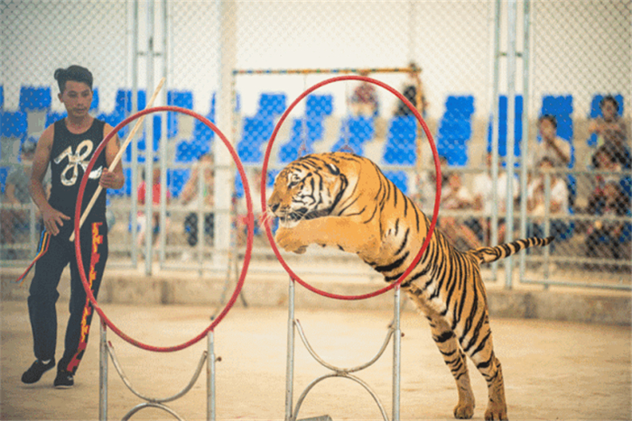 宿州野生动物园