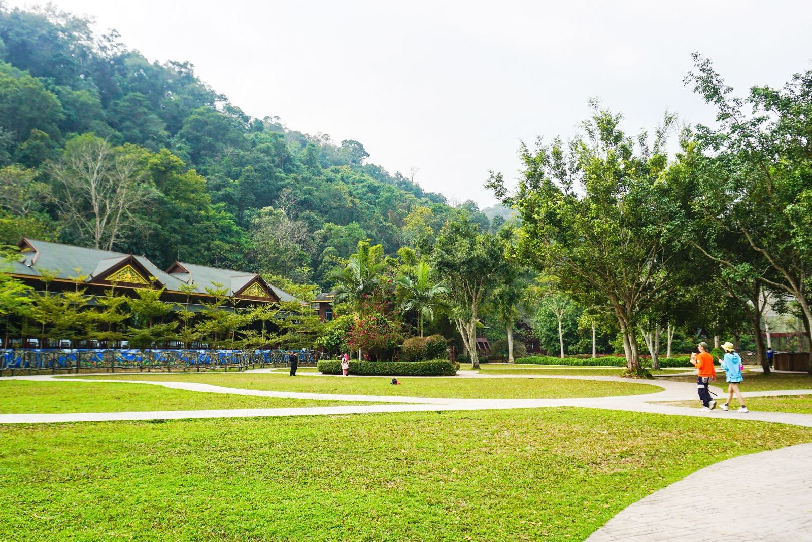 西双版纳野象谷