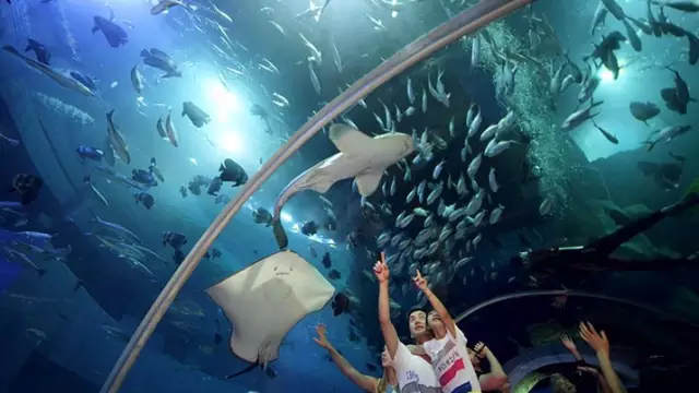 威海神游海洋世界 威海神游海洋世界