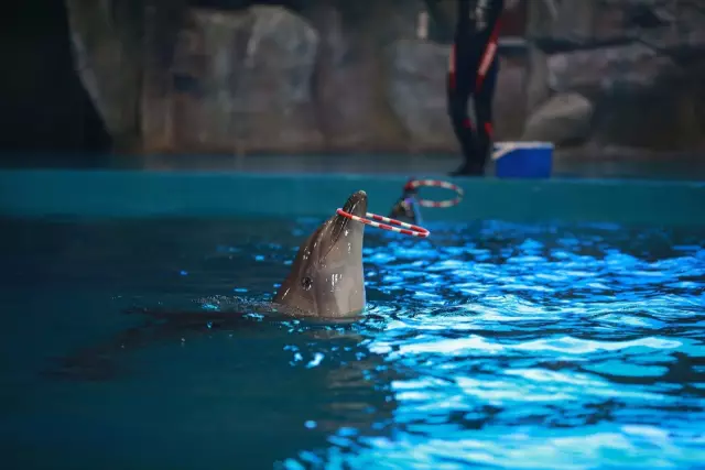 威海神游海洋世界 威海神游海洋世界