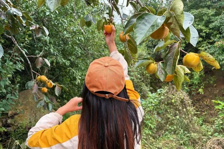 烟台天崮山 烟台天崮山