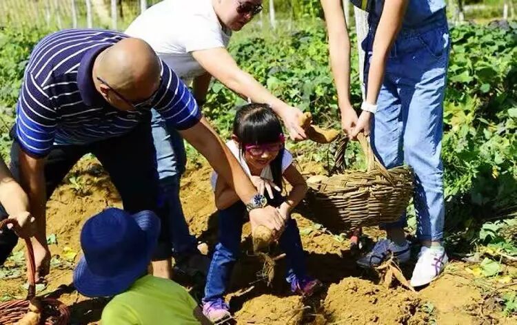 烟台天崮山 烟台天崮山