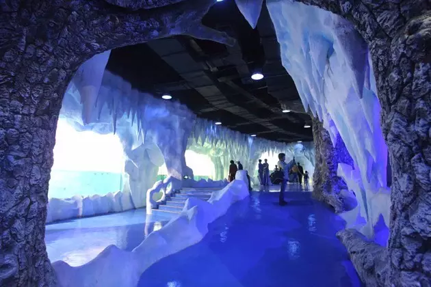 /uploads/image/2025/11/22/a73c5b7d563eeabb0ac48cd39cc9923e.png /uploads/image/2025/11/22/a73c5b7d563eeabb0ac48cd39cc9923e.png