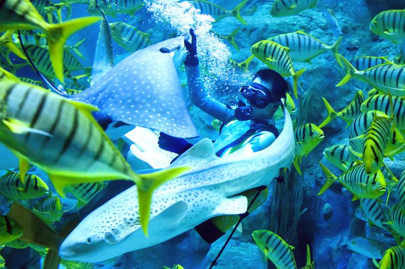 /uploads/image/2025/11/22/c899263952dcc406eaeac6ec93b801cd.jpg /uploads/image/2025/11/22/c899263952dcc406eaeac6ec93b801cd.jpg