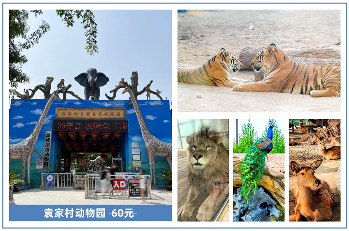 640_wx_fmt=jpeg&from=appmsg&tp=webp&wxfrom=10005&wx_lazy=1.webp (7).png