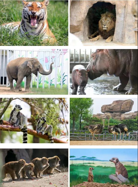 /uploads/image/2025/11/24/935ce76d398c059a4bab4fa3f2e0e3cd.jpg /uploads/image/2025/11/24/935ce76d398c059a4bab4fa3f2e0e3cd.jpg