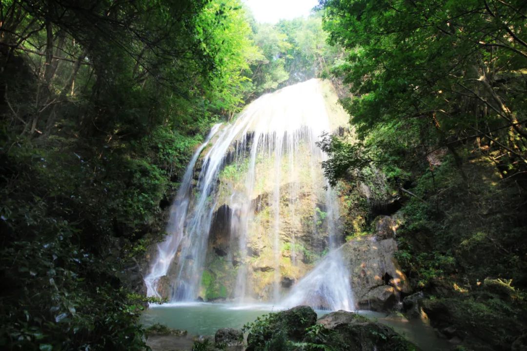 2025大口國(guó)家森林公園門票價(jià)格+主要景點(diǎn)+免費(fèi)政策+游玩亮點(diǎn)