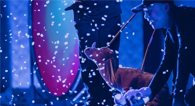 640_wx_fmt=jpeg&from=appmsg&tp=webp&wxfrom=5&wx_lazy=1.webp (1).png