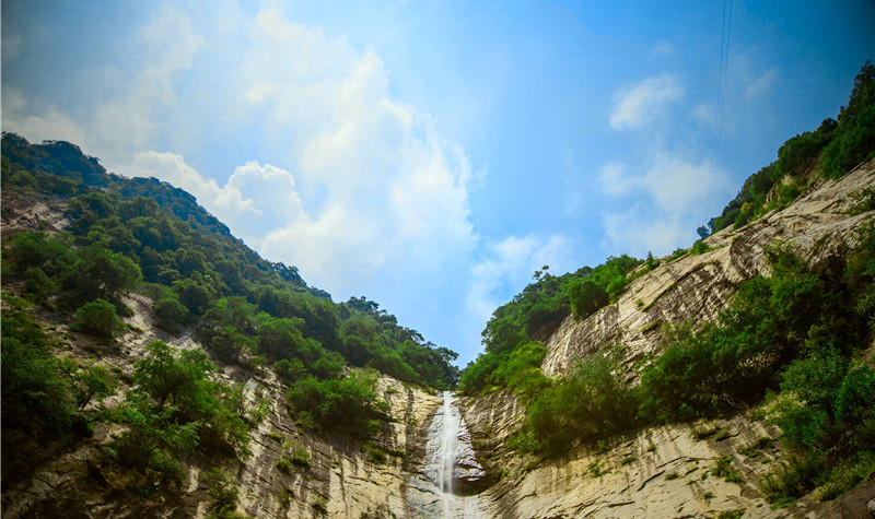 大口國家森林公園 大口國家森林公園