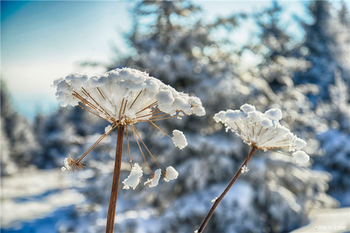 延邊老里克湖 延邊老里克湖