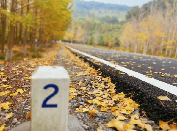 大口國家森林公園 大口國家森林公園
