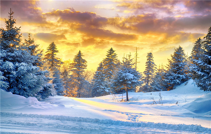 2025延邊老里克湖門票價格及購票入口(附免費政策+營業(yè)時間+游玩特色)