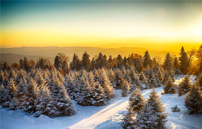 2025延邊老里克湖門票價格+免票人群+景點特色+游玩亮點
