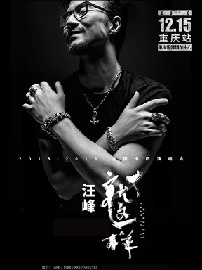 汪峰2018-2019