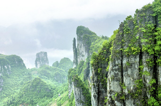 /uploads/image/2025/11/26/9df6f916fb91e24eb860260671b906ae.png /uploads/image/2025/11/26/9df6f916fb91e24eb860260671b906ae.png