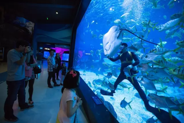 煙臺(tái)海昌鯨鯊海洋公園