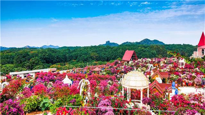 /uploads/image/2025/11/26/7dcf4b38464b9bd3eef14786907d2b54.jpg d187c2caa5cce08c280ae5b2bd27c1ea.jpg