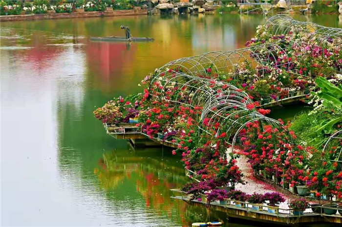 茂名粤龙山风景区
