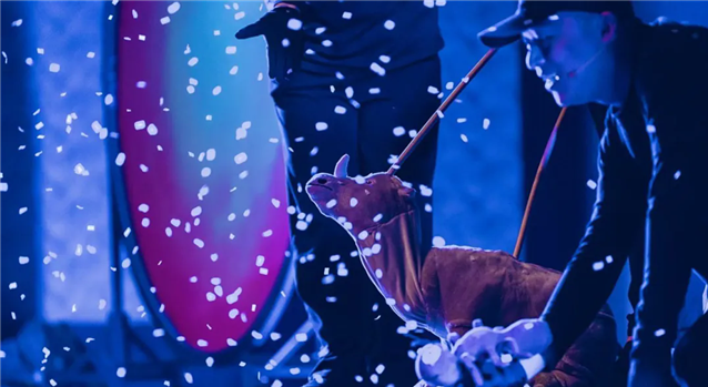 /uploads/image/2025/11/27/0b727f5998a95661c58c30a1078eaf10.png image.png