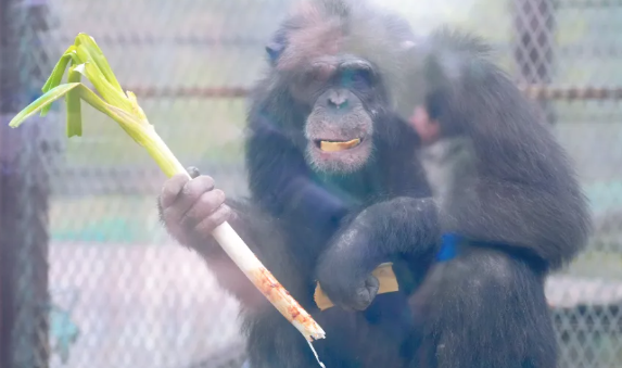 济南野生动物世界