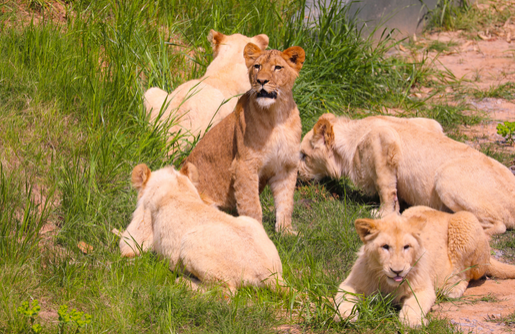 /uploads/image/2025/11/28/7af996b5ef7cfe34b281e9c8ae7cfba1.png /uploads/image/2025/11/28/7af996b5ef7cfe34b281e9c8ae7cfba1.png