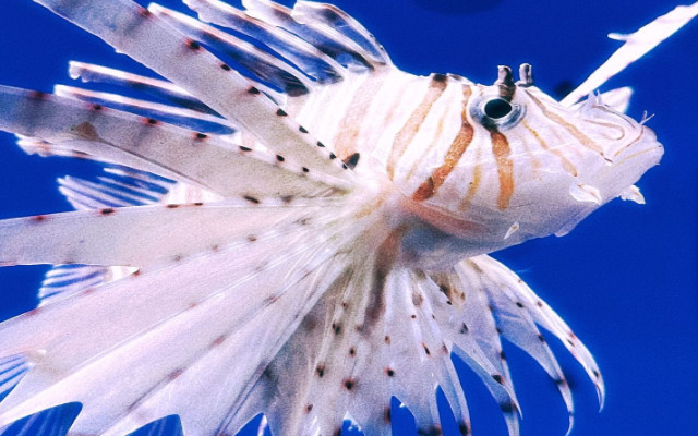 骆马湖海洋乐园 骆马湖海洋乐园