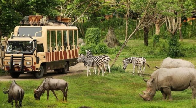 /uploads/image/2025/11/28/3f02330c9517c94be559f60ce8c15416.png /uploads/image/2025/11/28/3f02330c9517c94be559f60ce8c15416.png