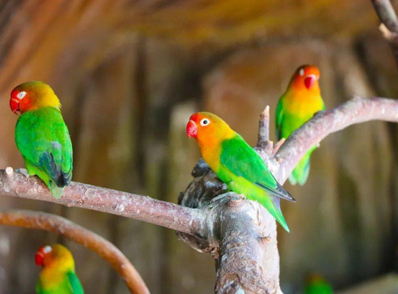 /uploads/image/2025/12/01/ad7db8823634ac0174b5073fa49a8e66.png /uploads/image/2025/12/01/ad7db8823634ac0174b5073fa49a8e66.png