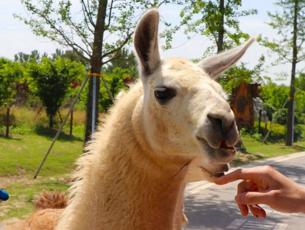 /uploads/image/2025/12/01/ebf3c91f59f58efd990aa275a4e166b0.png /uploads/image/2025/12/01/ebf3c91f59f58efd990aa275a4e166b0.png