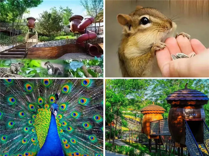 640_wx_fmt=jpeg&tp=webp&wxfrom=10005&wx_lazy=1.webp (5).png