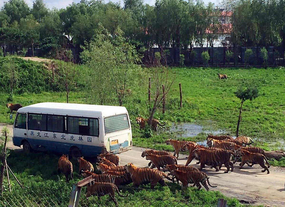 /uploads/image/2025/12/01/642ccc395c8e794ec71fbfbf892bf65c.jpg /uploads/image/2025/12/01/642ccc395c8e794ec71fbfbf892bf65c.jpg