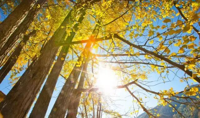 南雄帽子峰旅游景区