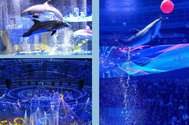 /uploads/image/2025/12/01/e00299f843b06497e8b0ed36532ad450.png /uploads/image/2025/12/01/e00299f843b06497e8b0ed36532ad450.png